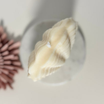 Handgemachte Kerze in Muschelform aus hochwertigem Rapswachs
